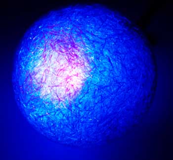 Purple LED Diffused Purple LED Diffused