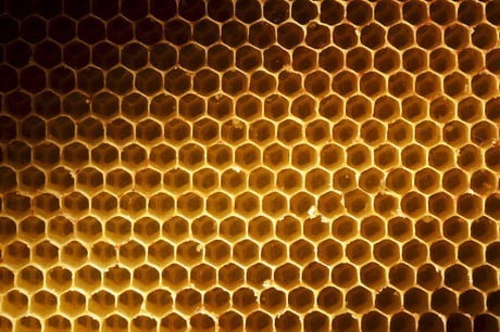 Honeycomb