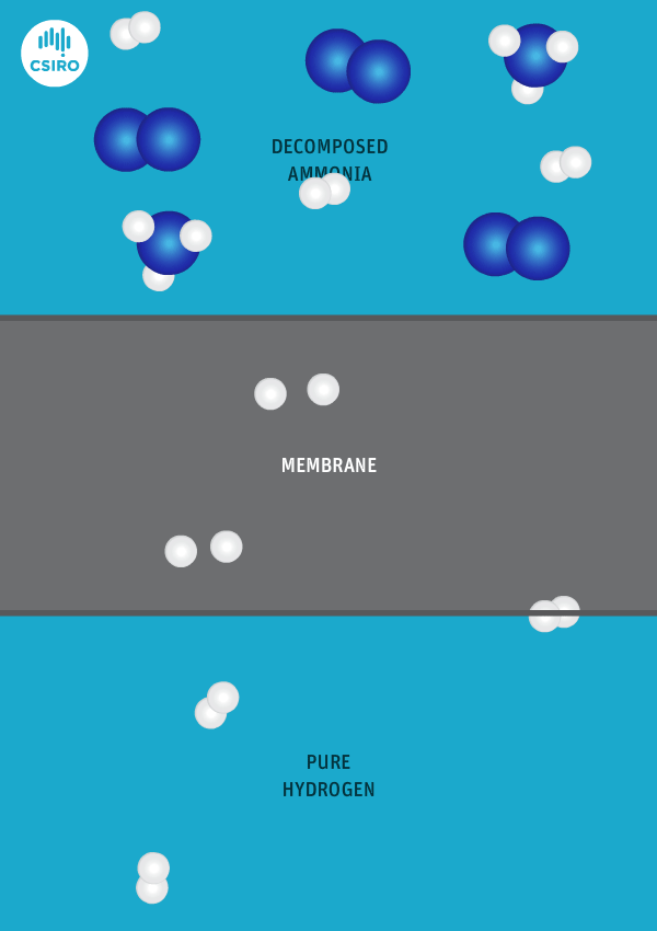 CSIRO Hydrogen Ammonia Membrane