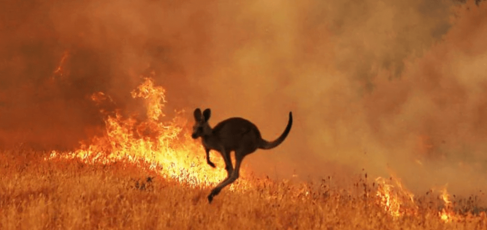 Code Red Climate Warning Australia